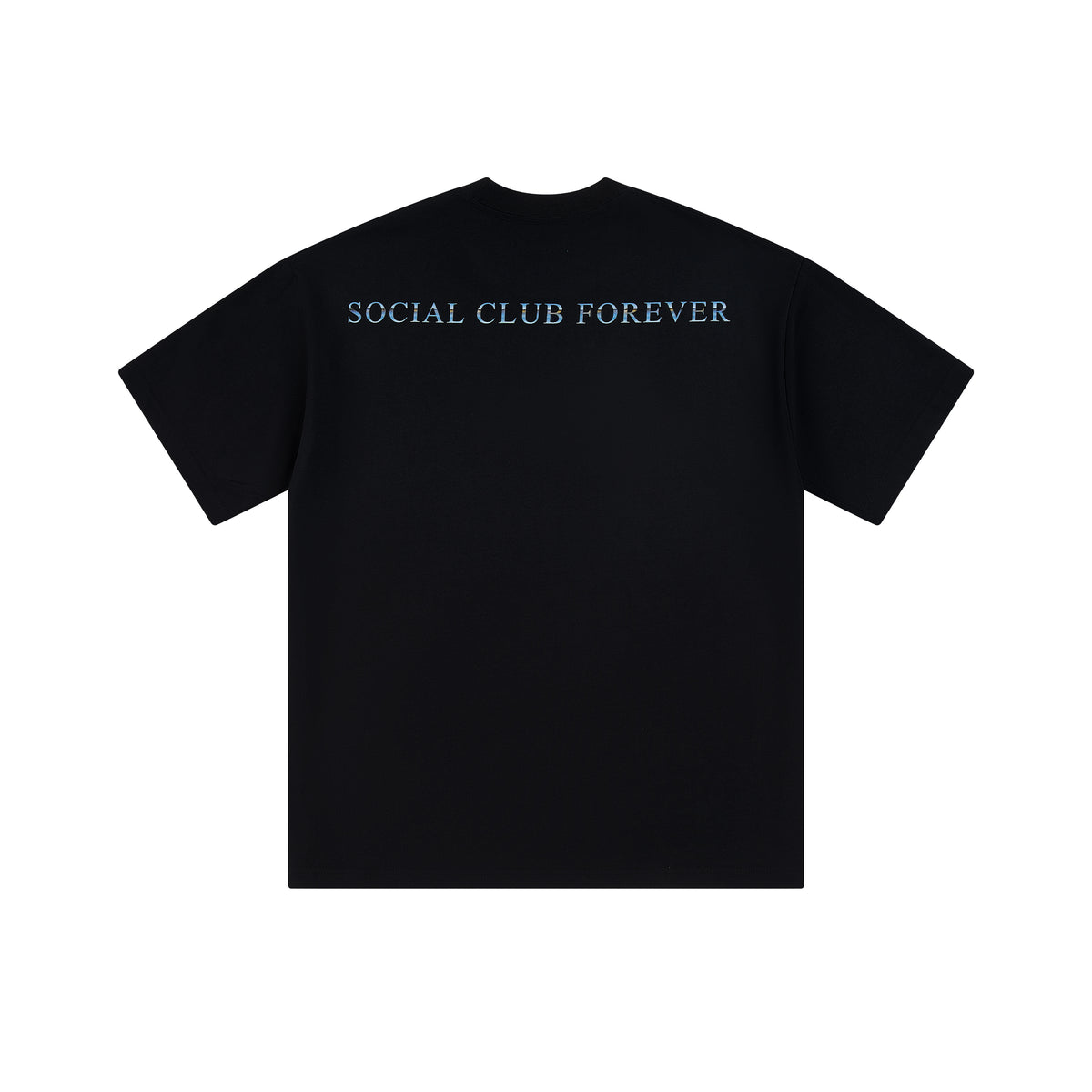 'Forever SC' Heavyweight T-Shirt — View 2 of 10