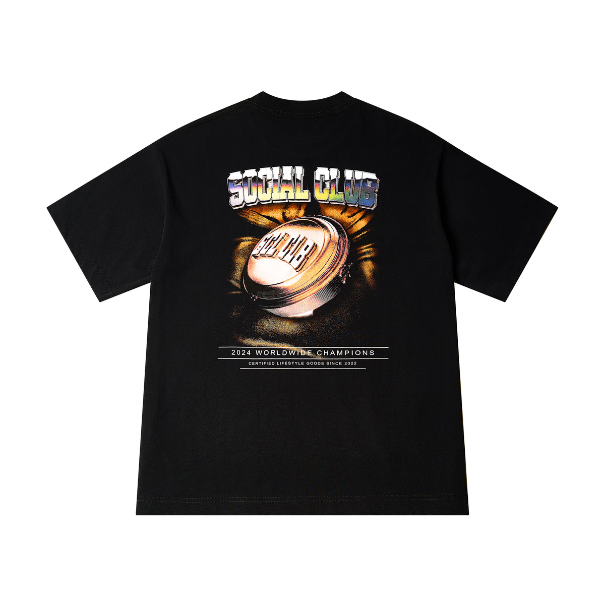 'Certified Lifestyle' Heavyweight T-Shirt — View 2 of 11